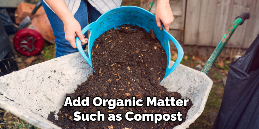 Add Organic Matter Such as Compost