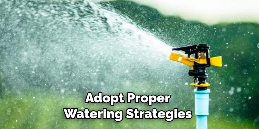  Adopt Proper Watering Strategies