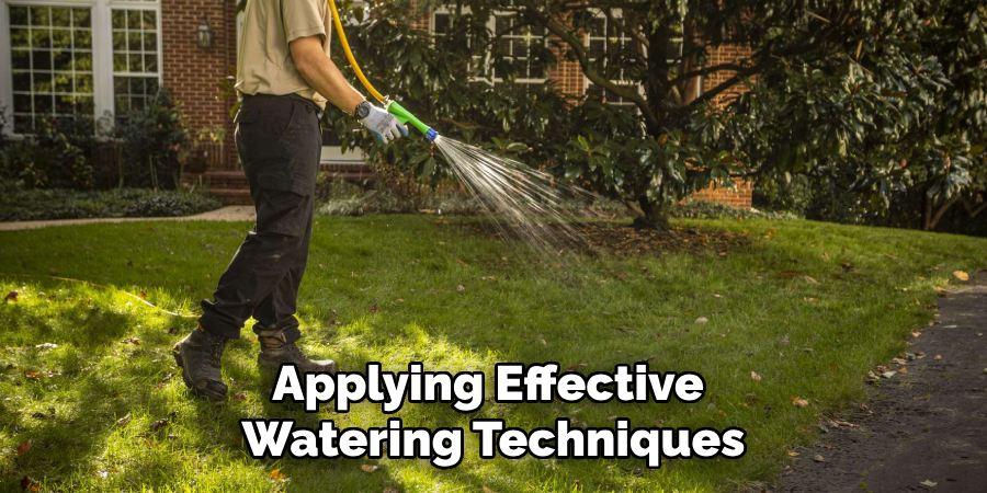 Applying Effective Watering Techniques
