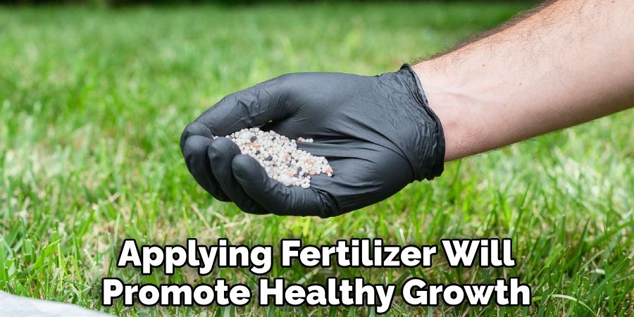 Applying Fertilizer Will Promote Healthy Growth
