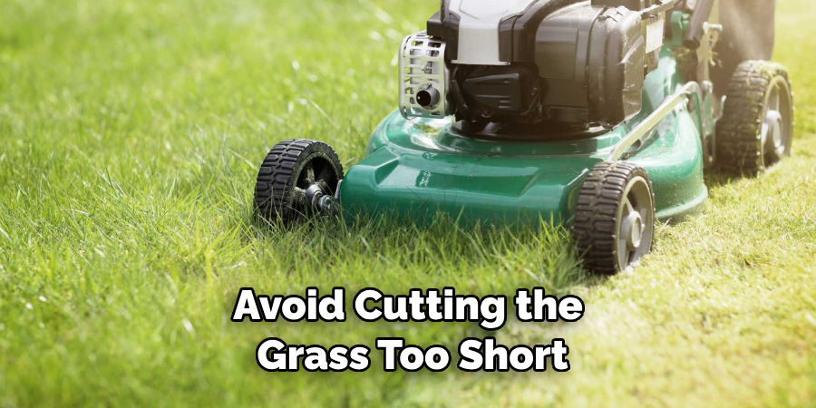 Avoid Cutting the Grass Too Short
