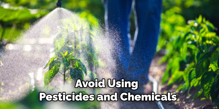 Avoid Using Pesticides and Chemicals