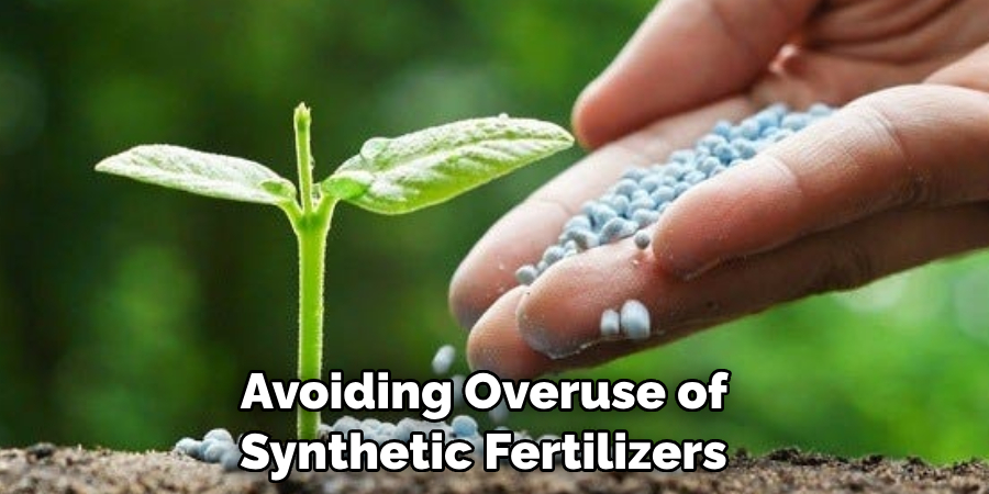 Avoiding Overuse of Synthetic Fertilizers 