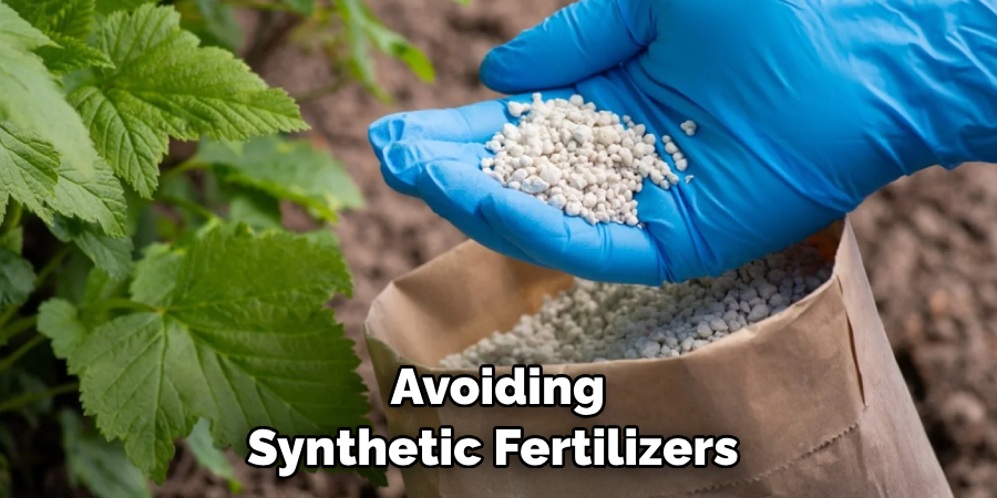  Avoiding Synthetic Fertilizers 