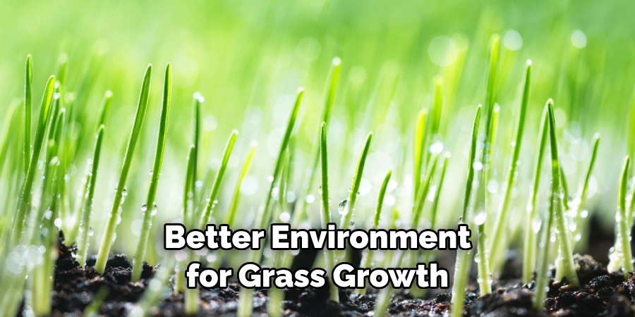 create a better environment for grass growth