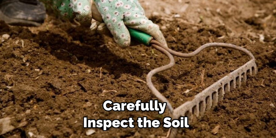 Carefully Inspect the Soil