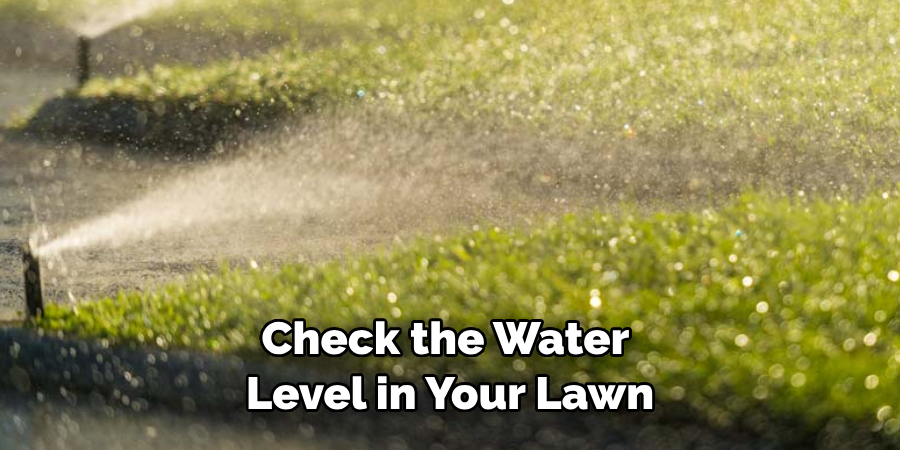 Check the Water Level in Your Lawn