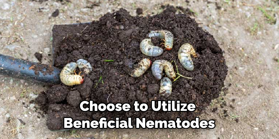 Choose to Utilize Beneficial Nematodes