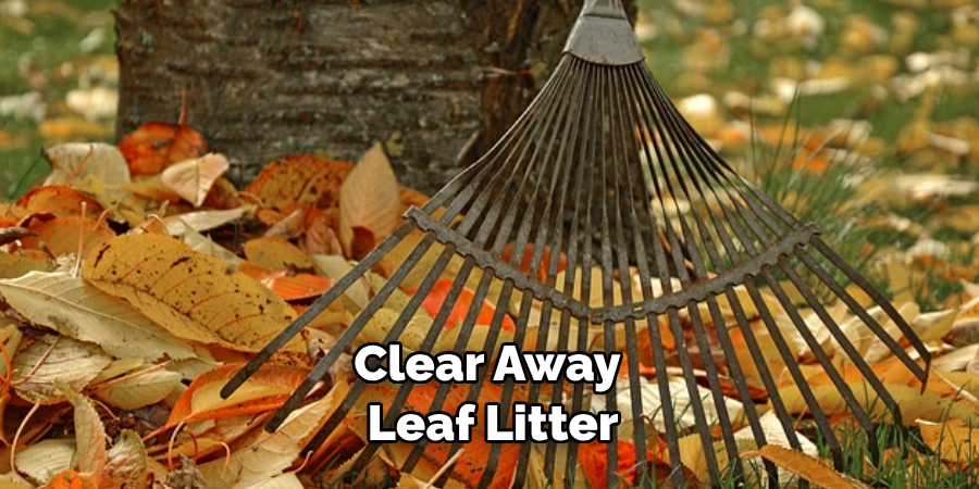 Clear Away Leaf Litter