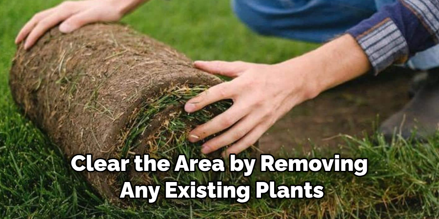 Clear the Area by Removing Any Existing Plants