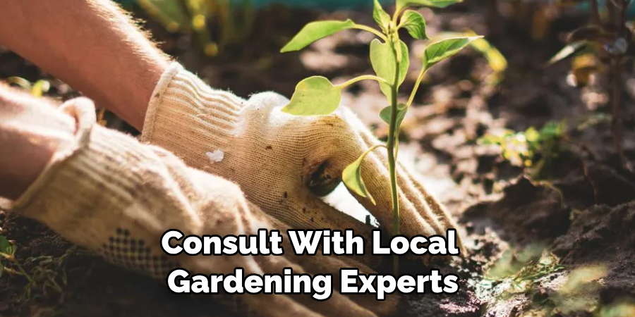 Consult With Local Gardening Experts