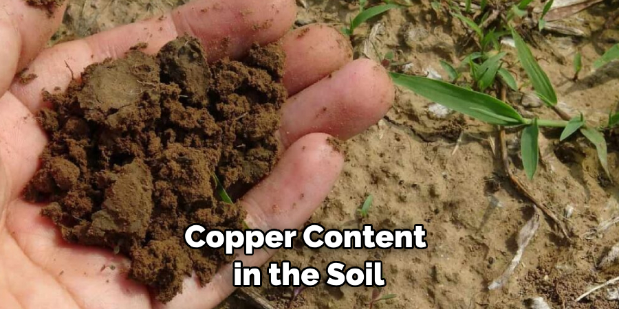 Copper Content
 in the Soil