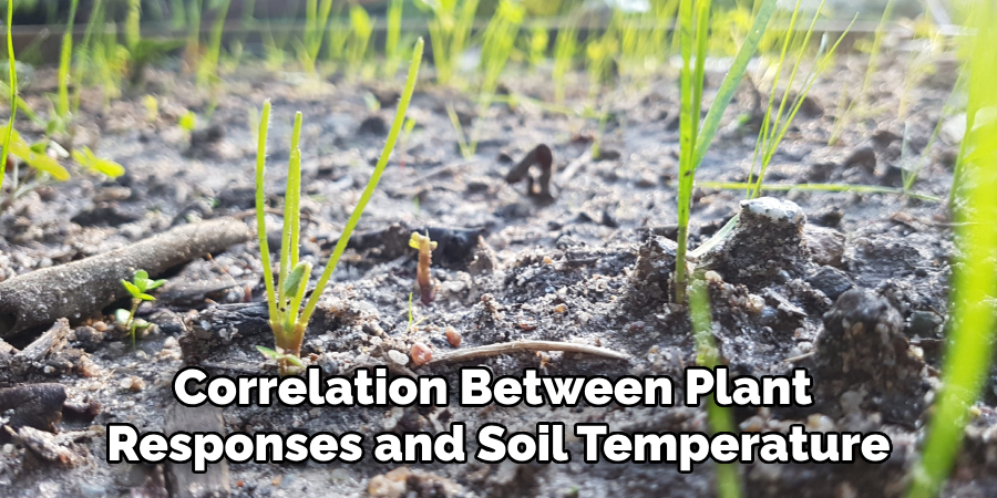 Correlation Between Plant Responses and Soil Temperature