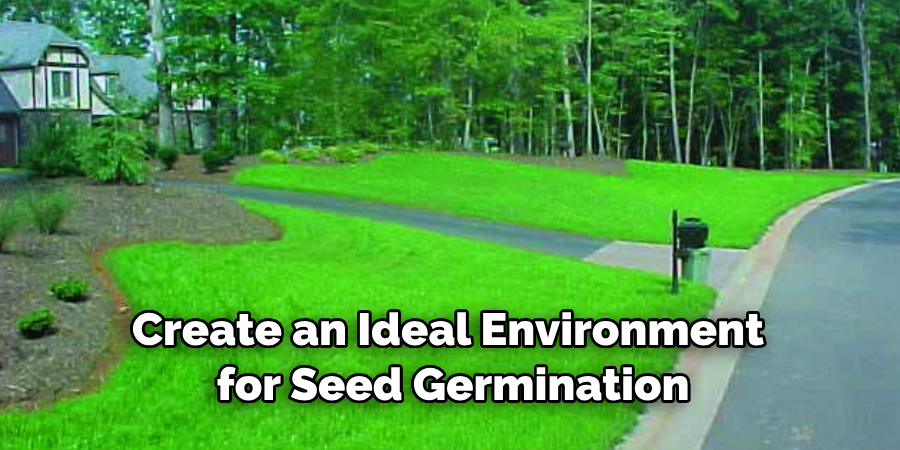Create an Ideal Environment for Seed Germination