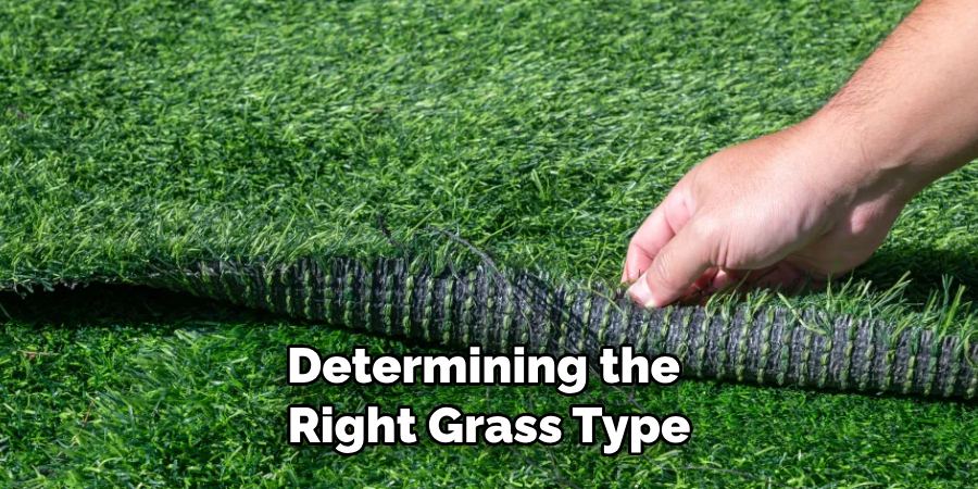 Determining the Right Grass Type