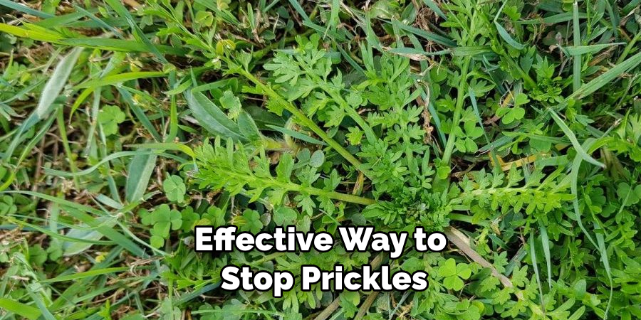 Effective Way to Stop Prickles