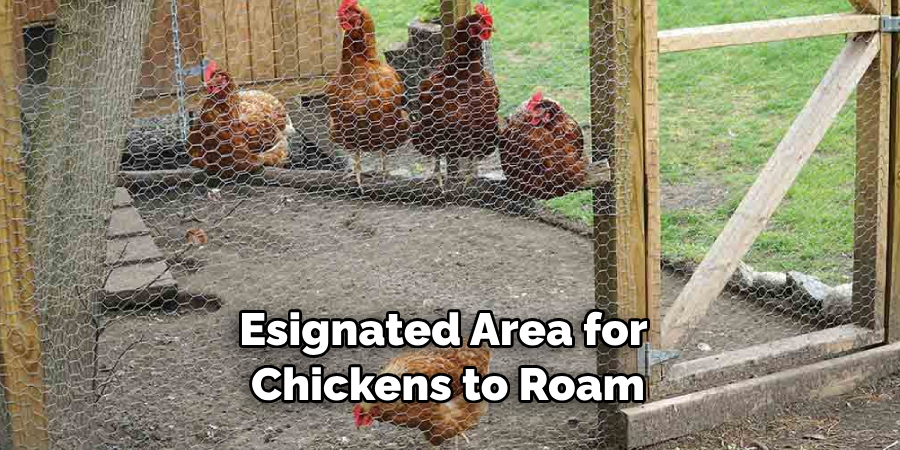 Esignated Area for Chickens to Roam