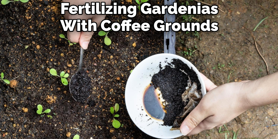 Fertilizing Gardenias With Coffee Grounds