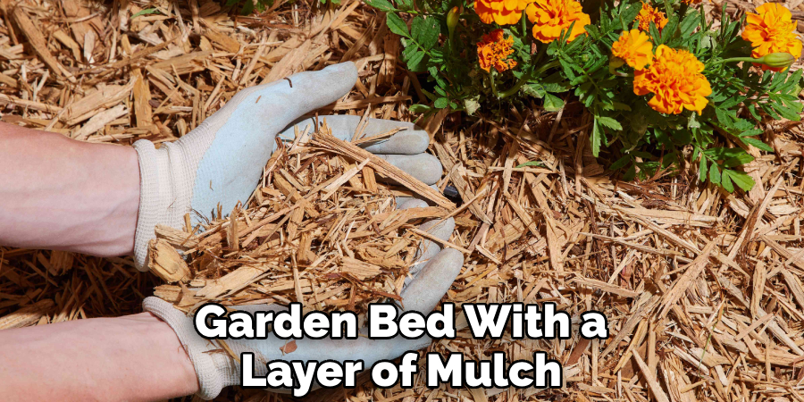 Garden Bed With a Layer of Mulch