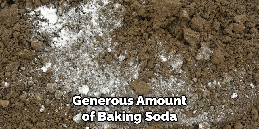 Generous Amount of Baking Soda 