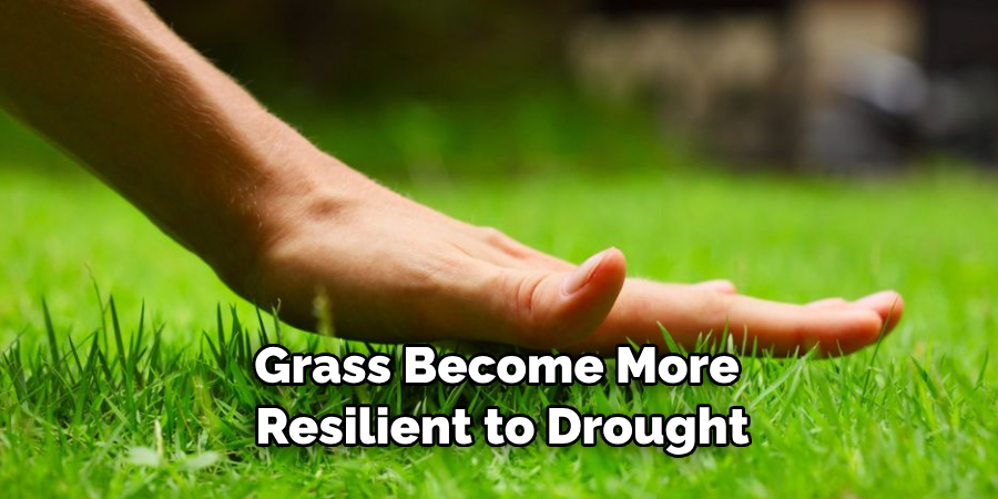 Grass Become More Resilient to Drought