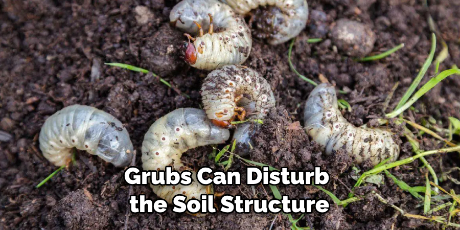 Grubs Can Disturb the Soil Structure