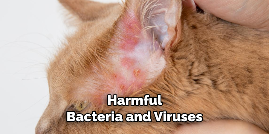  Harmful Bacteria and Viruses