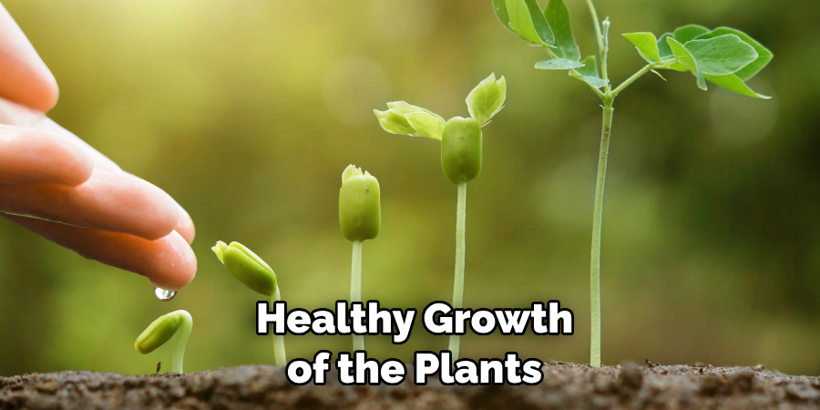  Healthy Growth of the Plants