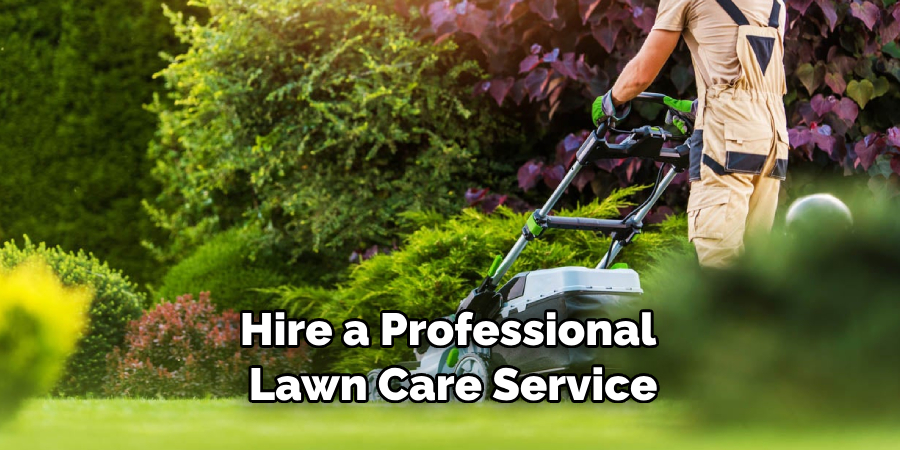 Hire a Professional Lawn Care Service