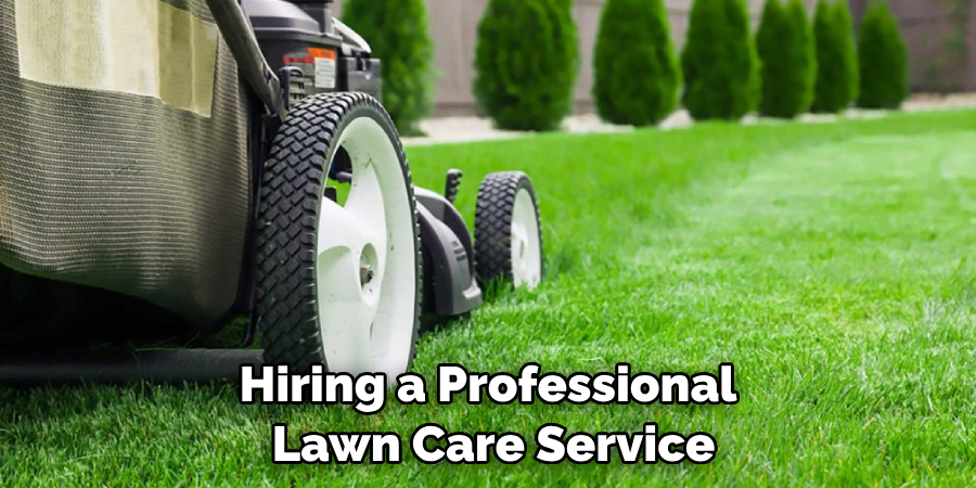 Hiring a Professional Lawn Care Service