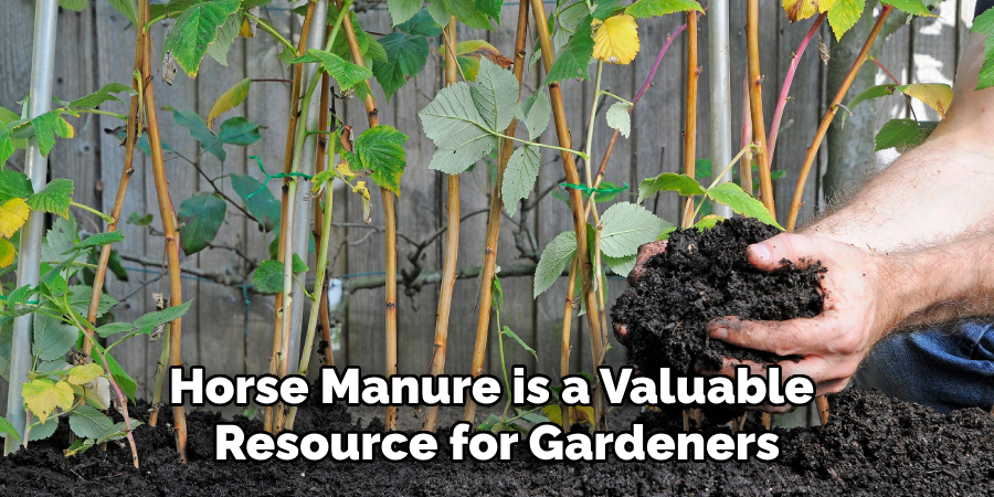 Horse Manure is a Valuable Resource for Gardeners