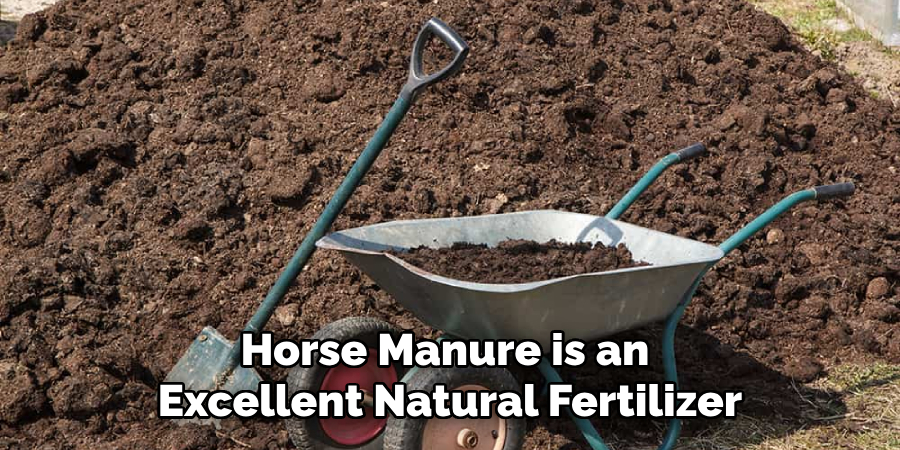 Horse Manure is an Excellent Natural Fertilizer