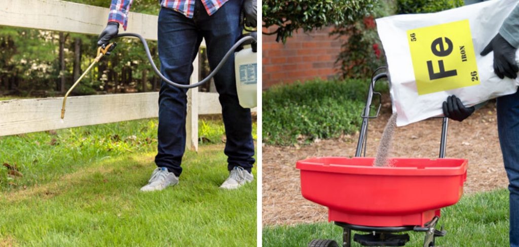 How to Add Iron to Lawn