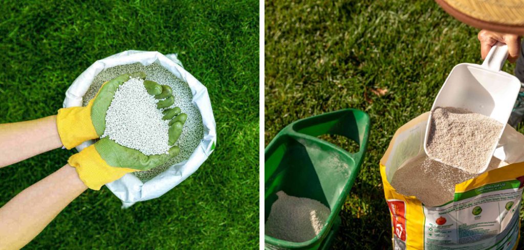 How to Choose the Right Fertilizer for Your Lawn