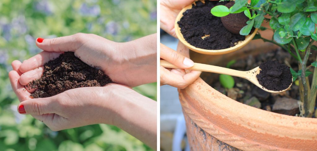 How to Fertilize Gardenias With Coffee Grounds