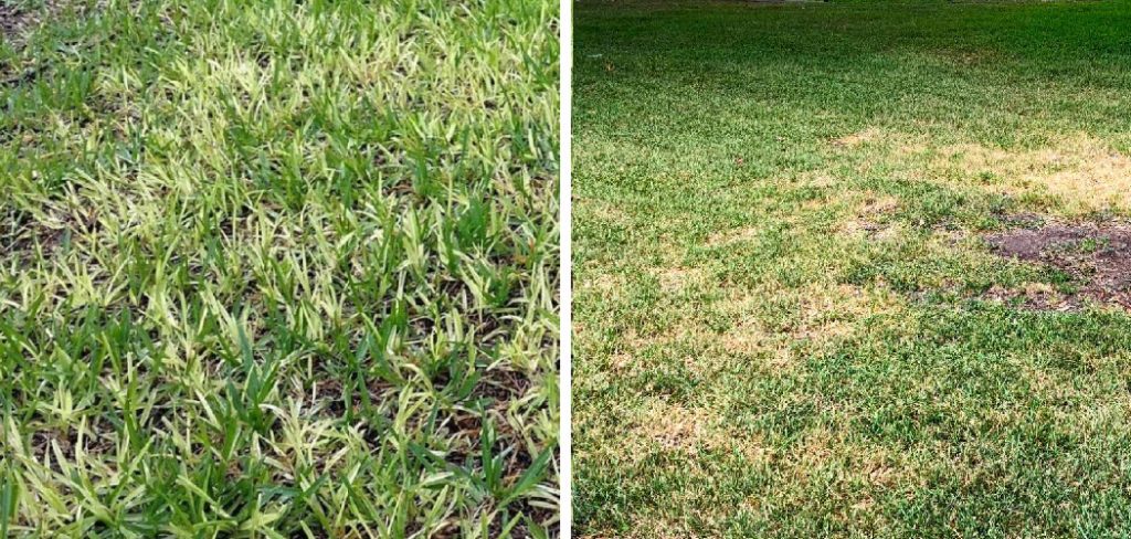 How to Fix Root Rot in Grass