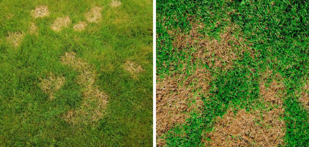 How to Fix Sunken Spots in Lawn