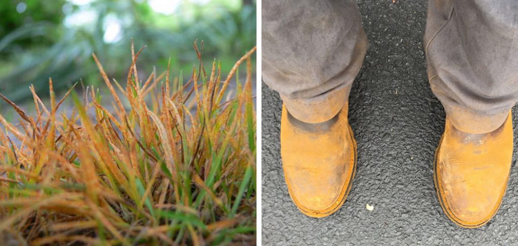 How to Get Rid of Lawn Rust on Shoes