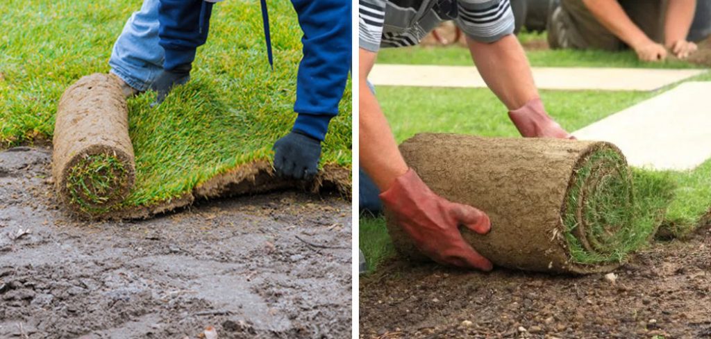 How to Lay Down Sod Over Existing Lawn