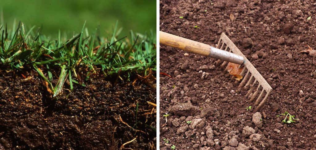 How to Loosen Compacted Soil Lawn