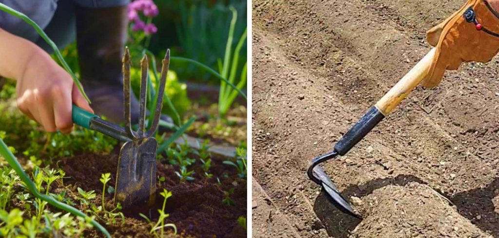 How to Make Garden Rows With a Hoe
