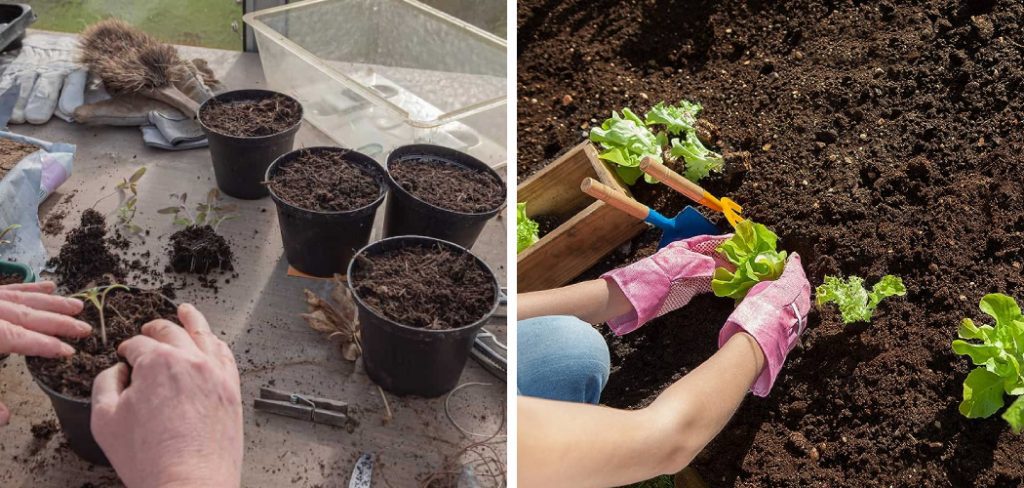 How to Make Super Soil for Vegetables