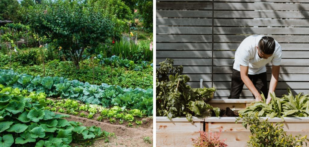 How to Make a Self Sufficient Garden