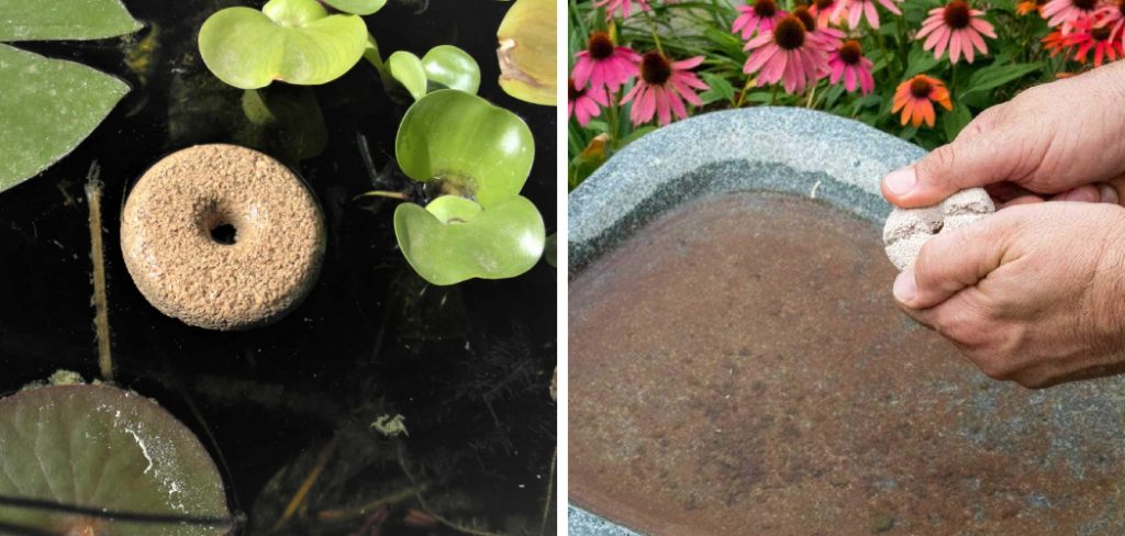 How to Use Mosquito Dunks in Potted Plants