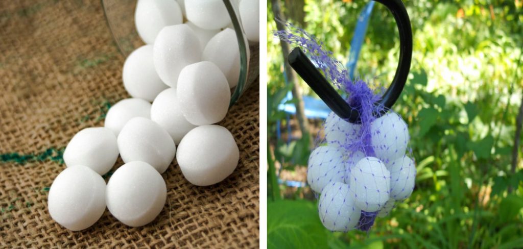 How to Use Mothballs in Garden