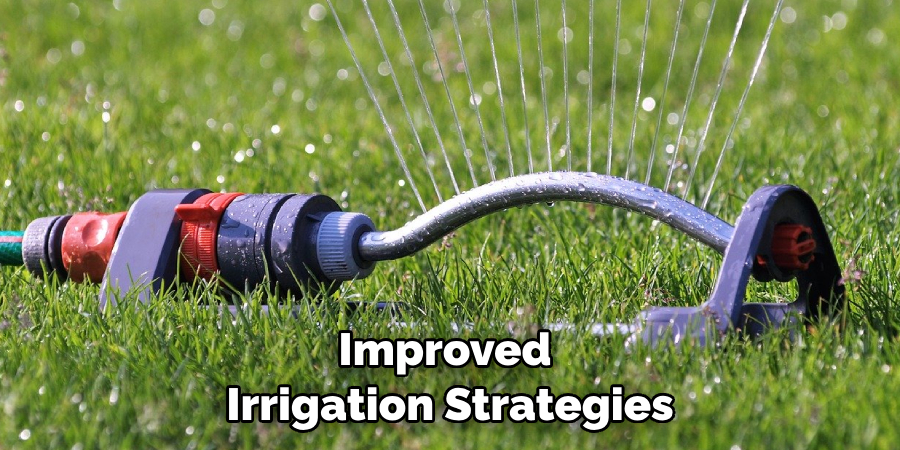 Improved Irrigation Strategies