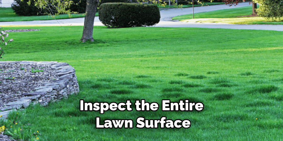 Inspect the Entire Lawn Surface