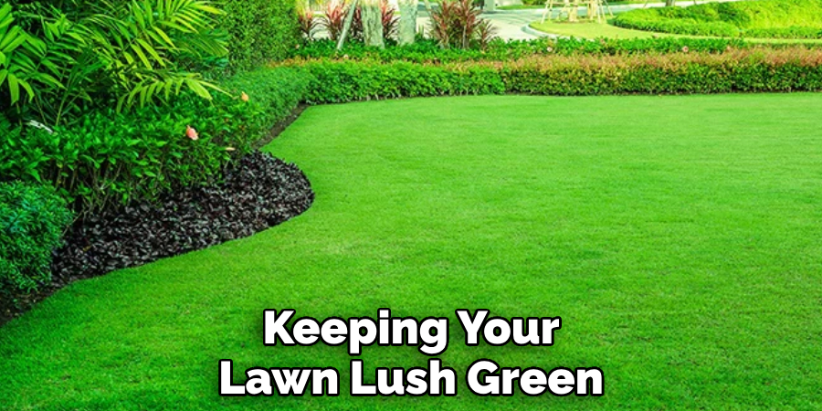 Keeping Your Lawn Lush Green