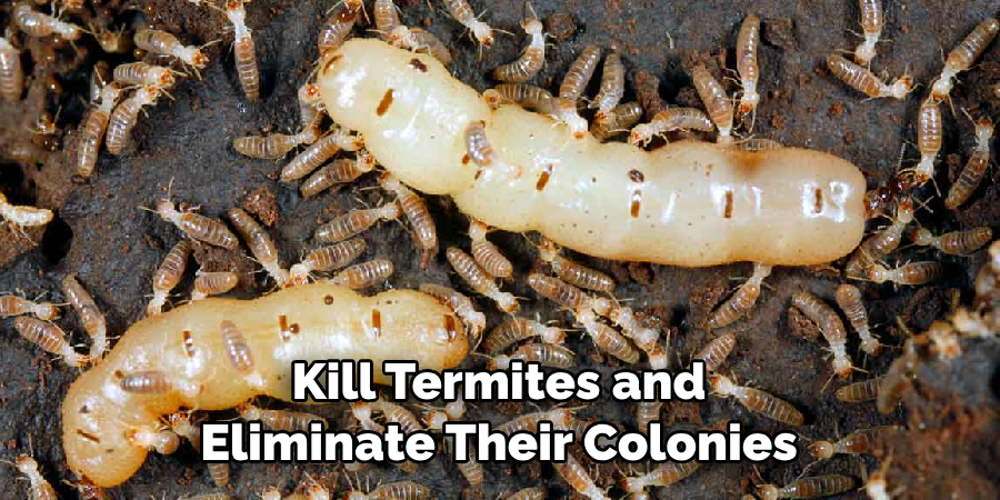  Kill Termites and Eliminate Their Colonies