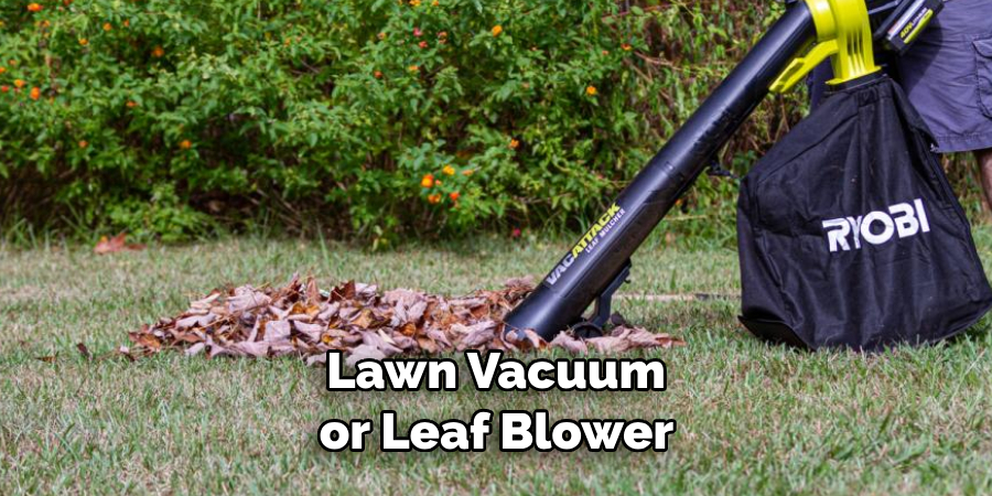 Lawn Vacuum or Leaf Blower